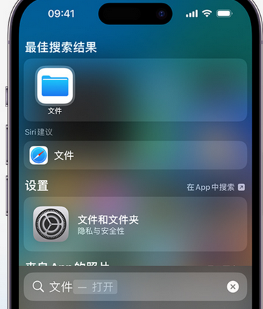 郑场镇apple维修中心分享iPhone文件应用中存储和找到下载文件 