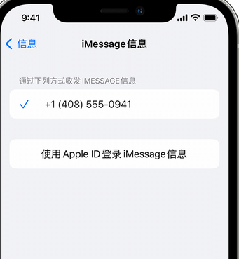 郑场镇apple维修iPhone上无法正常发送iMessage信息 