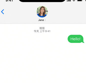 郑场镇apple维修iPhone上无法正常发送iMessage信息