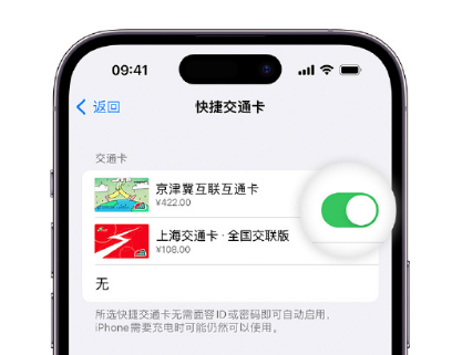 郑场镇apple维修点分享iPhone上更换Apple Pay快捷交通卡手绘卡面 