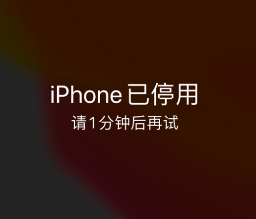 郑场镇苹果手机维修分享:iPhone 显示“不可用”或“已停用”怎么办？还能保留数据吗？ 