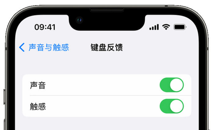 郑场镇苹果手机维修分享iPhone 14触感键盘使用方法 