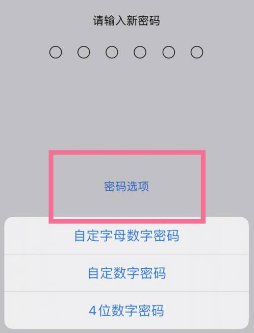 郑场镇苹果14维修分享iPhone 14plus设置密码的方法 