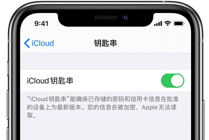 郑场镇苹果手机维修分享在 iPhone 上开启 iCloud 钥匙串之后会储存哪些信息 