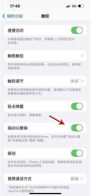 郑场镇苹果手机维修分享iPhone手机如何设置摇一摇删除文字 